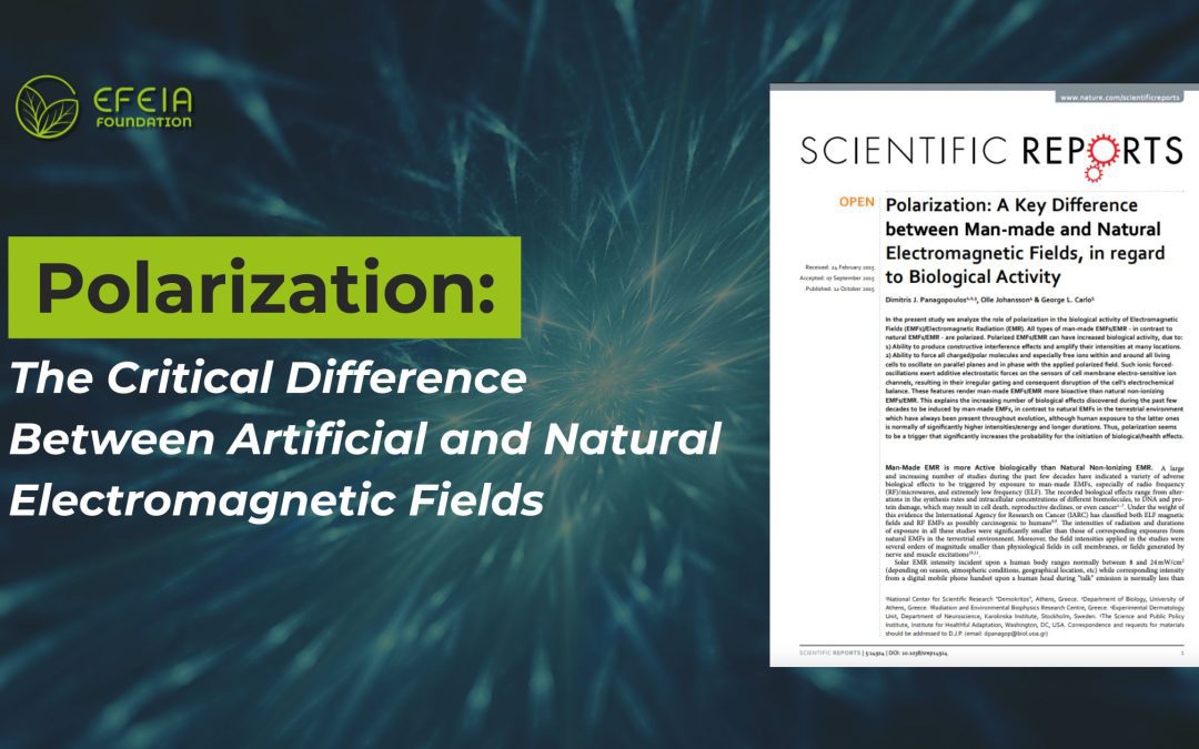 Polarization: The Critical Difference Between Artificial and Natural Electromagnetic Fields