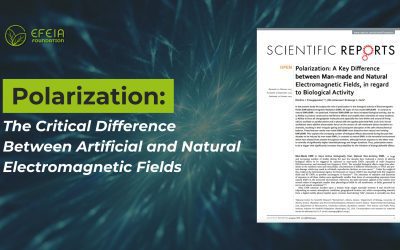 Polarization: The Critical Difference Between Artificial and Natural Electromagnetic Fields