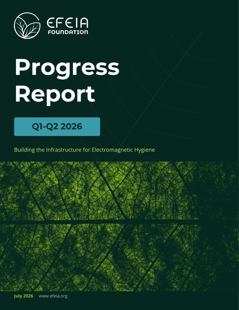 EFEIA Progress Report Q1-Q2 2026 cover