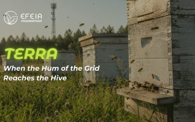 TERRA: When the Hum of the Grid Reaches the Hive